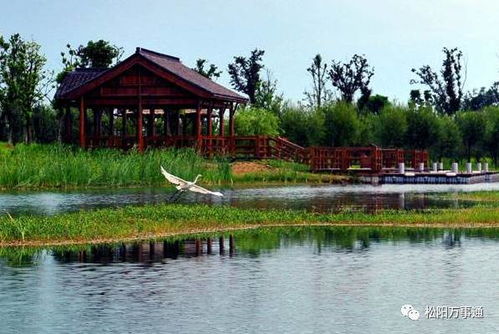 一、 春意盎然漫步吴江湿地——别看是春天也别以为简单