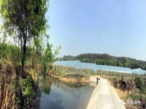 一、景区过度开发：谁来承担那份沉沉重？