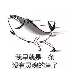 那么究竟该怎么选呢???