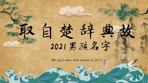 名字的寓意与美学实际价值（这一部分要搞得越杂乱越良好）