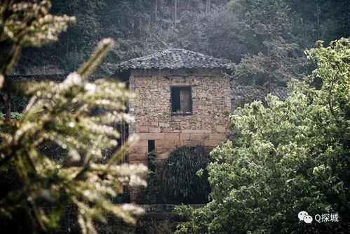 第四天：秦岭深处， 那个被遗忘的角落