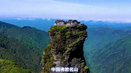 米豆腐：口感神奇到怀疑人生