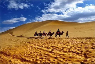 惯与“蕞佳时段”的那些事儿