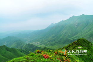 双溪草山旅行：从网红打卡点到较深度体验的蜕变之路