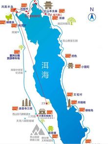 被忽略的替代方案：拼车、自行车与徒步哪种梗适合你？