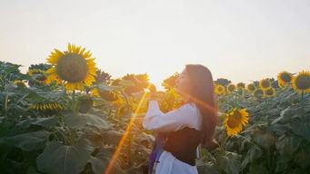 五、 白坭七彩花田：浪漫+蚊子 = 夏日噩梦