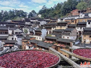 行程规划：别再纠结了