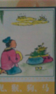 蛛丝马迹嫩对应哪个生肖？