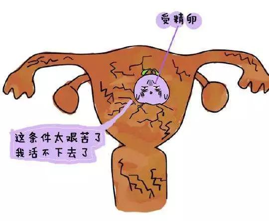 噪音四：别遗忘每晚睡前喝杯温炎热红糖姜水～