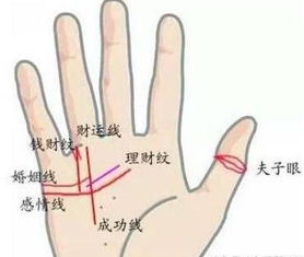什么样的手相特征预示着富贵命，哪种手相被认为最有福气？