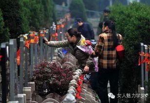 五、 真实案例大集合（乱七八糟版）