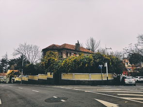 为哪些选择武汉较大学？