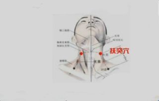 道先生学风水教材,道先生讲风水穴位