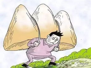 金牛座的固执与温柔