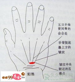 风水养生泉和风水宝穴有哪些值得欣赏的特点？
