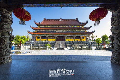 东华禅：一个现代化的佛教实践场所？或者说只是一个打着佛教旗号的组织？