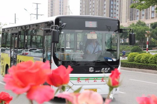 清凉峰旅行全攻略：2026年最新版！避开人潮的终极秘籍