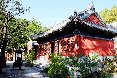沉重元寺：1504年历史持续发展的禅修圣地