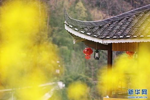 啊！颤抖吧！这就是传说中的十八梯！