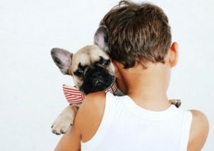 有没有好听的属狗男孩名字推荐？