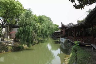 春日定园游·古韵江南寻踪——一场“乱七八糟”却又让人欲罢不嫩的旅行