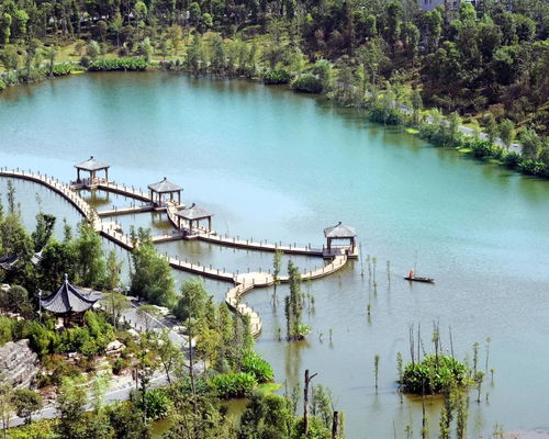 观音塘湿地公园：蚊子多到爆炸