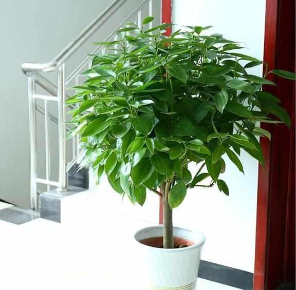 卫生间：湿气重是天敌