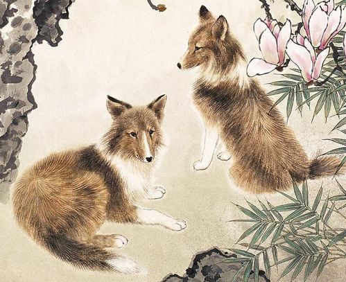 2001年出生属猪的女性与哪个生肖最匹配？