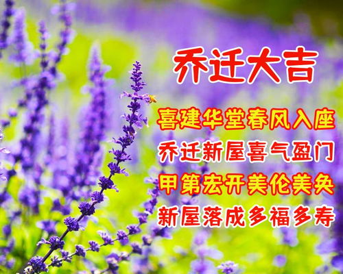 “乔迁福音：信仰传统，乔迁新居，爆款祝福！”