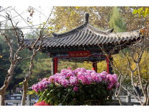 景观：不仅仅是亭台楼阁