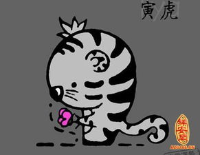 财运运势