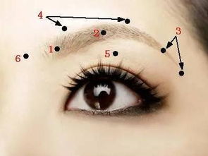 眉毛里的痣：福祸双修的狗血剧情