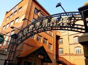 4、 青岛啤酒街：喝酒与吃货的天堂