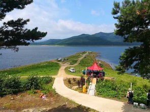 5、 松花江畔野营区：江风拂面鱼跃岸边（适合钓鱼但别忘记带鱼竿）