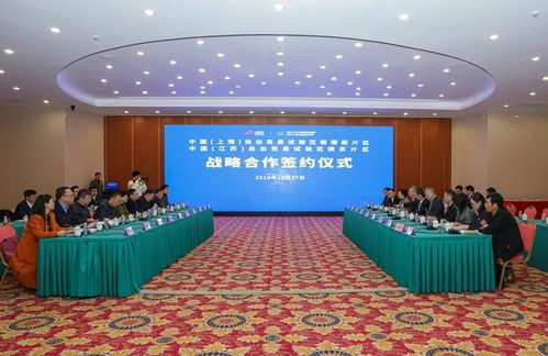 临港的呼唤：新片区的崛起