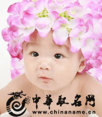 一、 名字的构成与寓意