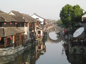 义乌杀到西塘：一场鸡飞狗跳的魔幻现实主义大冒险