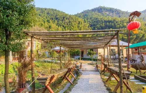 农家乐里的“惊喜”