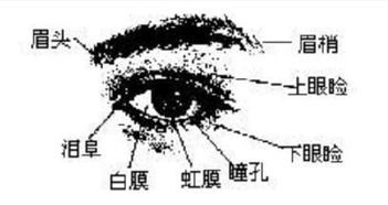 一、 大义：为何我们要窥探命运的玄机？