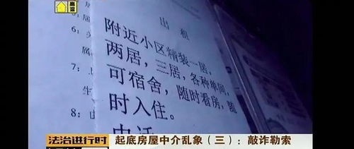 命理支撑力量的本质究竟是什么？