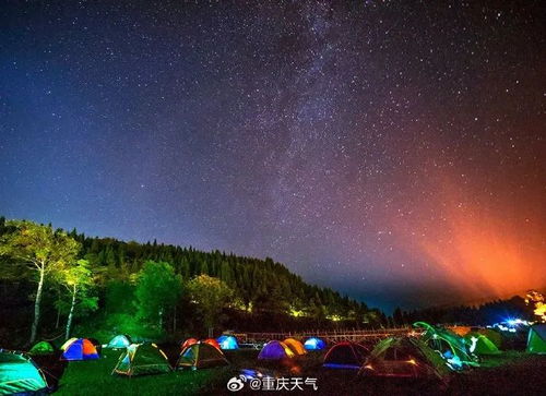 二、 交通乱七八糟版（随意就是自由）