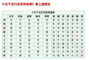 八字看旺衰究竟在命理分析中扮演着怎样的关键角色？