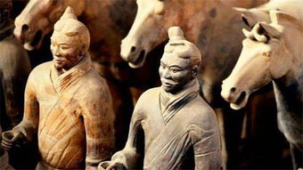 行业洞察：那些隐藏的价格敏感度秘密