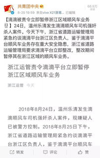 平安保障责任的虚实