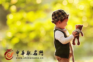 4. 其他富有诗意的名字