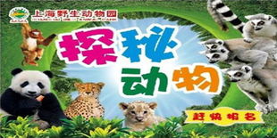 丰富有的科普活动