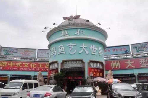 崭新址亮点一：景观设计极致诱人