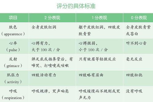四、风水搭配：五行平衡之道