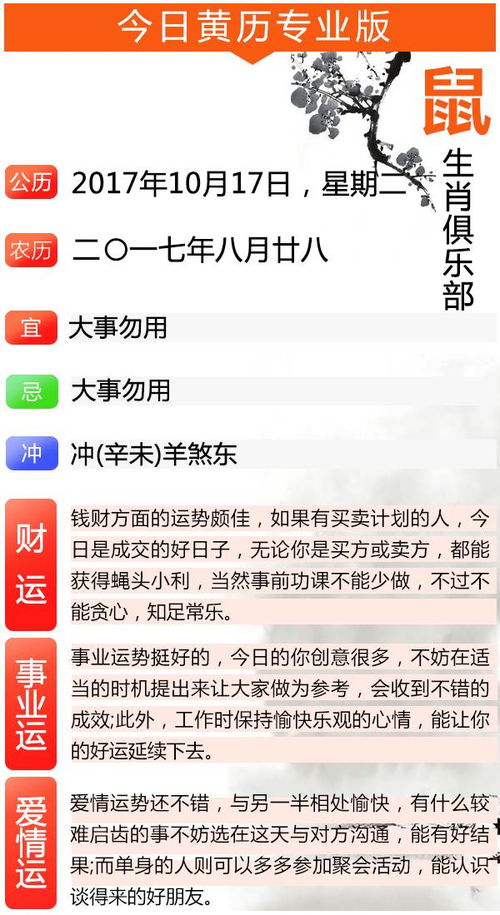 鼠鼠：今天你就是锦鲤本鲤