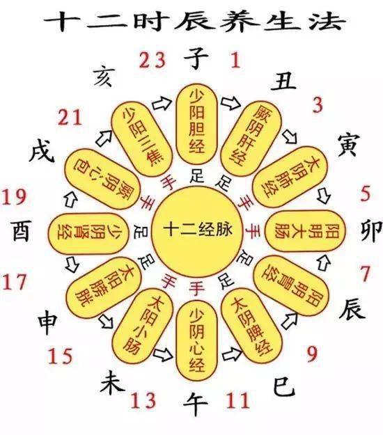 年糕指的是哪个生肖，而半夜三更又代表哪个生肖的寓意？
